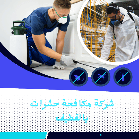 مكافحة حشرات بالقطيف